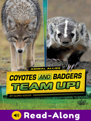 cover image of Coyotes and Badgers Team Up!